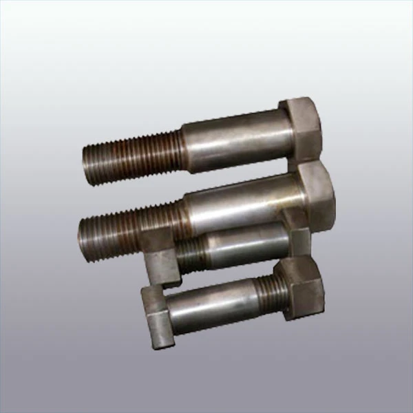 Hinged Bolt